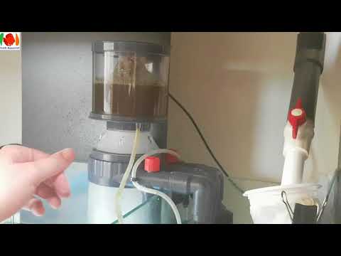 Aqua One G216 Skimmer Review
