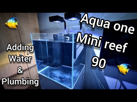 Aqua One Mini Reef 90 – Adding Water & Plumbing