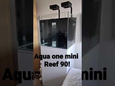 Aqua One Mini Reef 90
