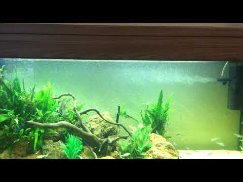 AQUAEL 120 ASPECT 240l aquarium