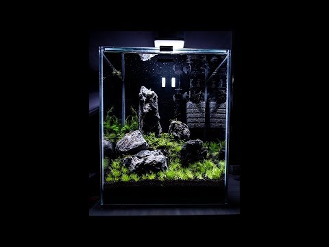 Aquael 30L Krewetkarium zakładanie – Aquael 30L Setting up a shrimp tank
