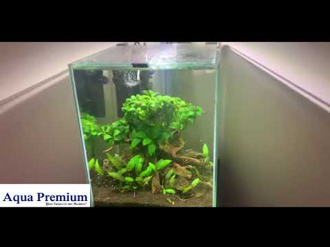 Aquael Aquarium