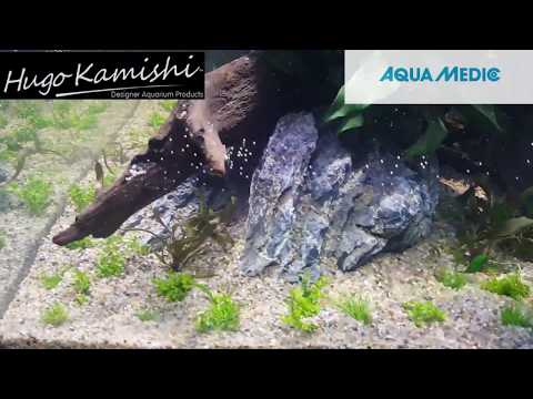 AQUAEL GLOSSY CUBE aquascaped by GEORGE FARMER