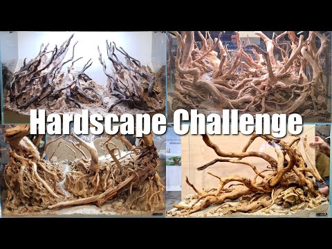 Aquael Hardscape Challenge 2021 – relacja z wydarzenia