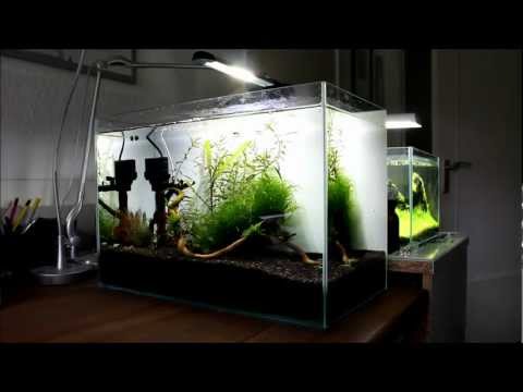 Aquael LED Decolight 5 Watt – Aquascapia.de – Der Aquascaping-Blog