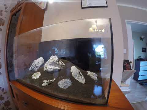 Aquael Leddy 80 – Restart Aquarium