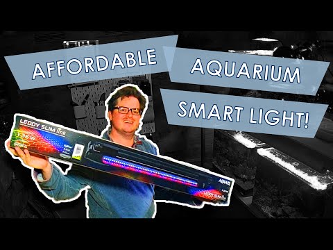 Aquael Leddy Slim Link Setup & Review | The Best Budget Smart Light