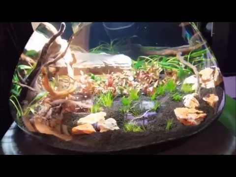 Aquael Luna 17 Liter