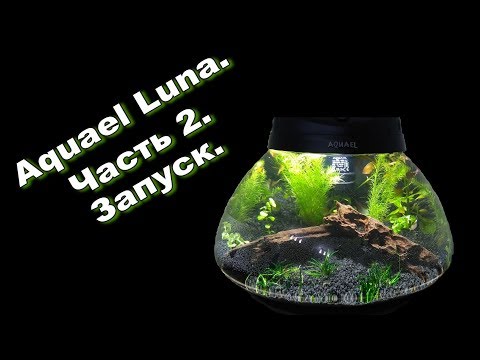 Aquael LUNA. Nano аквариум. Часть 2. Запуск. Грунт, растения, декорации.