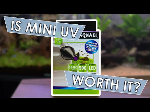 AquaEl Mini UV Sterilizer Review | Stocking the New Scapers Tank