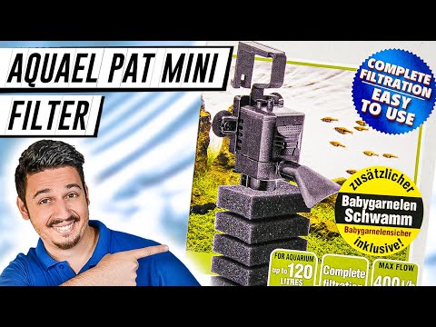 AQUAEL PAT MINI TEST | Ein günstiger Filter mit viel Leistung? (review)