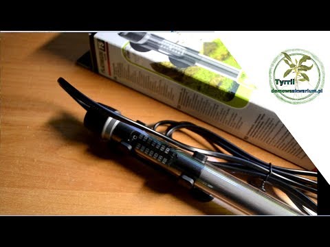 Aquael Platinium Heater – pierwsze wrażenie.