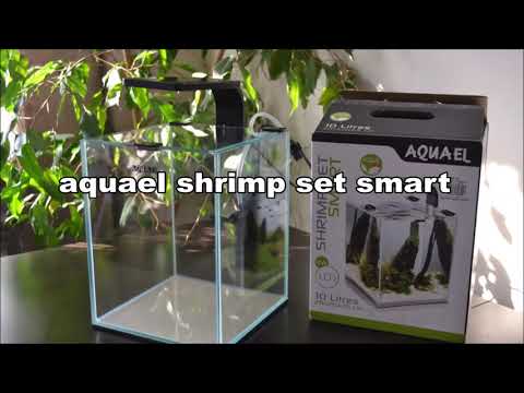 Aquael shrimp set 10l aquarium.