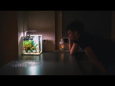 AQUAEL SHRIMP SET – metamorfoza w 4 minuty czyli jak odpicowałem akwarium moich znajomych!