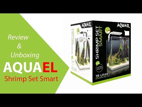 AquaEl Shrimp Set Smart   Unboxing and Review + Nano Scape