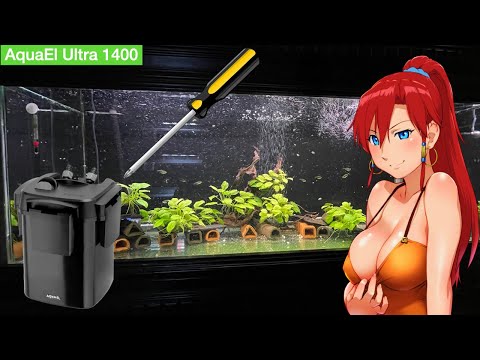 AquaEl Ultra 1400   Filter Head Disassemble