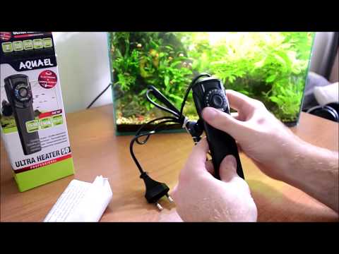 Aquael ultra heater – pierwsze wrażenia.