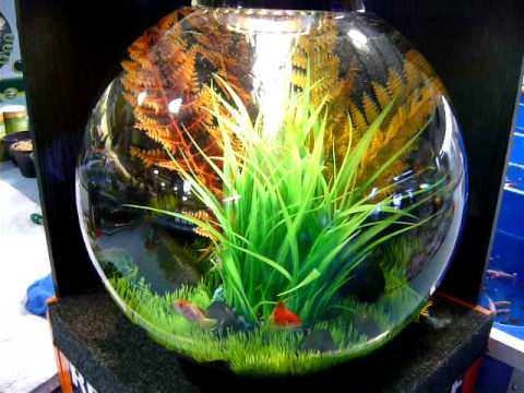 Aquajardin Gloucester -Biorb 30 litre