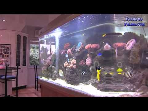 AquaOne AquaGrande 120, 150, 180 Curved aquariums Reef and Tropical
