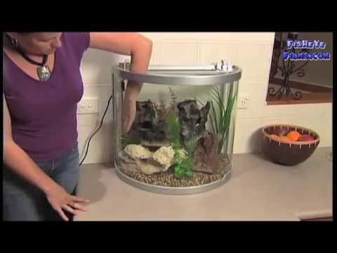 Aquaone Aquamode 600 the curved glass all in one Aqua One aquarium