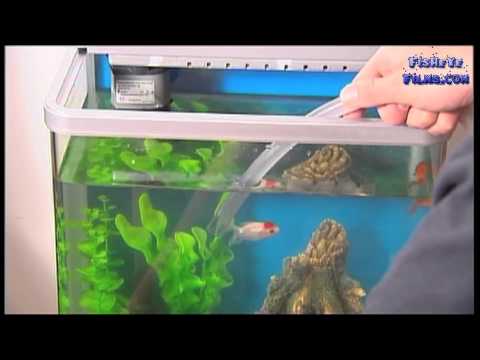 AquaOne Aquarium Maintenance tips