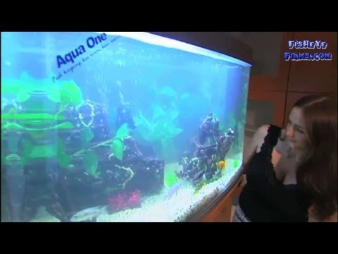 Aquaone Aquariums  Chapter 1 Introduction of the All in One Aqua one Range