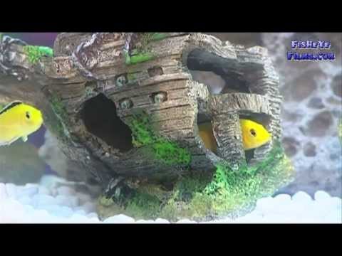 AquaOne Aquastyle 126, 380 & 510 All in One curved Aquarium