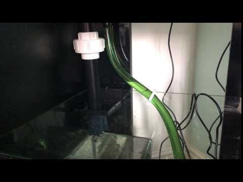 AquaOne MiniReef 120 drain pipe sponge mod (quiet)
