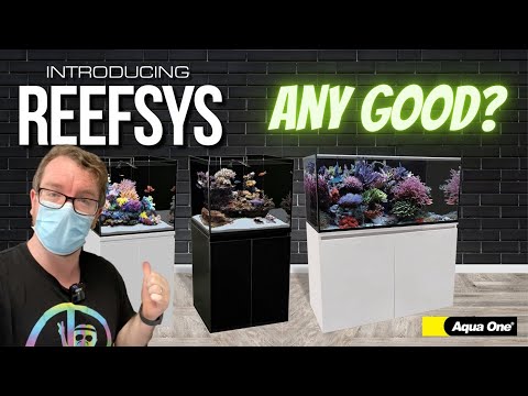 AquaOne ReefSys Build and Review