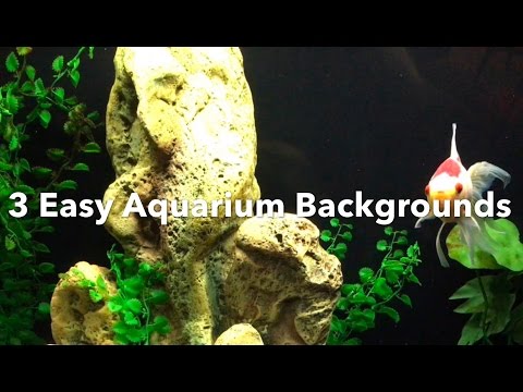Aquarium Backgrounds: 3 Easy Options