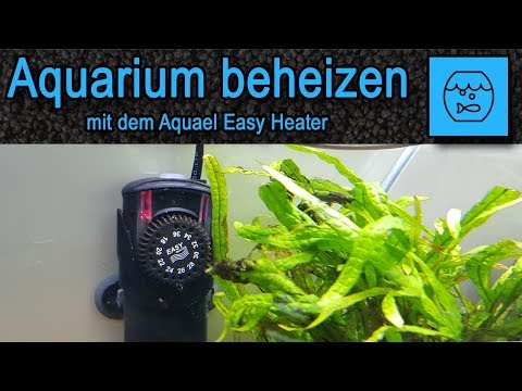 Aquarium beheizen mit dem Aquael Easy Heater – Unboxing Aquarium Heizstab – Becken Heizer – deutsch