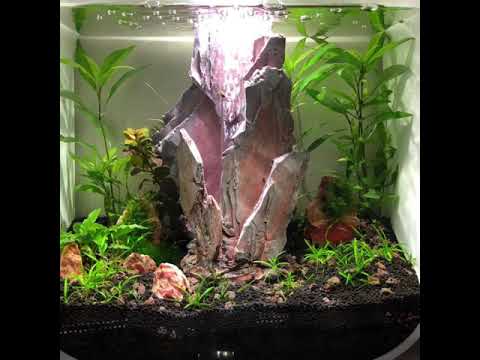 Aquarium biorb Life 30L & 30J