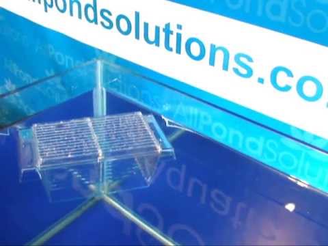 Aquarium Hatchery/Breeding Quarantine (BOYU FH-101) – All Pond Solutions