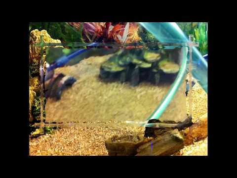 Aquarium Juwel – 180L  Installation