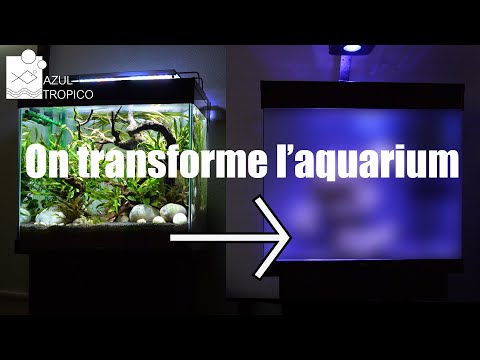 AQUARIUM RECIFAL SANS ECUMEUR – TUTO COMPLET