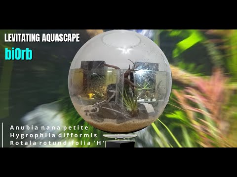 Aquarium setup ideas for nano sphere tank biOrb – Aquascaping