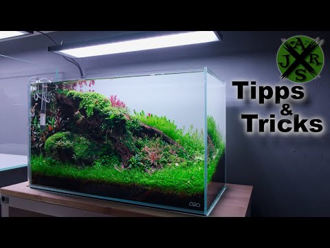 Aquarium Tipps & Tricks | JR Aquascaping