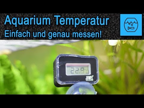 Aquarium Wassertemperatur einfach und genau messen – Juwel Digitales Thermometer 2.0 –  Unboxing
