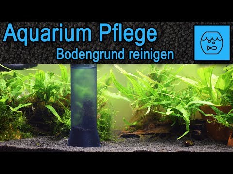 Aquarium Wasserwechsel und Bodengrund reinigen mit dem Mulmsauger – Juwel Aqua Clean 2.0 Unboxing