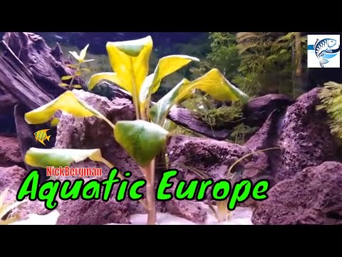 Aquascape juwel primo 60 aquarium