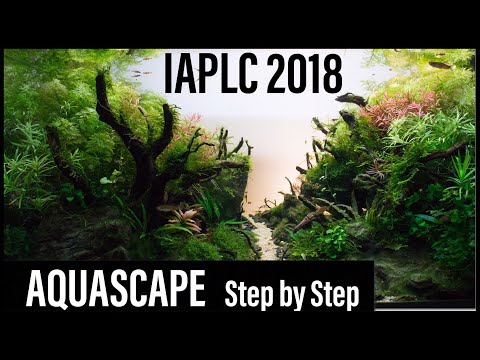 Aquascaping|| Juwel Rio 125 by Christian Tapella