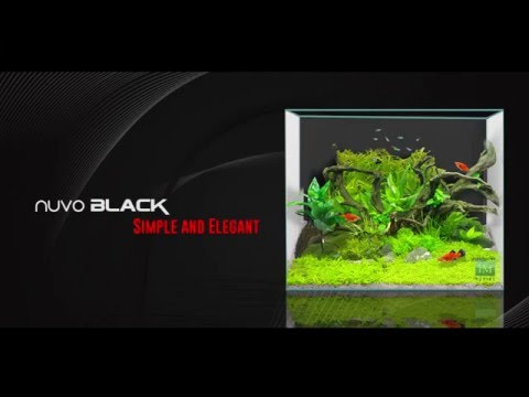 Aquascaping with Plants in the Innovative Marine NUVO Black