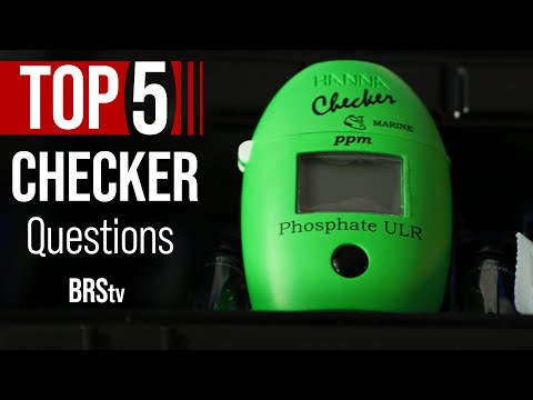 Are Hanna Checkers for Your Reef Tank Worth It?