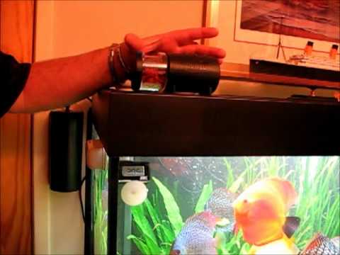 Auto feeder by juwel