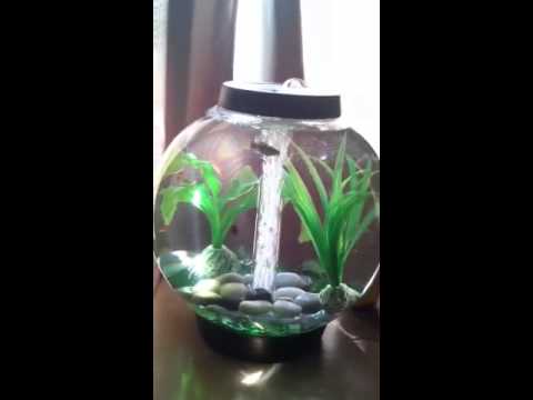 Baby Biorb Aquarium