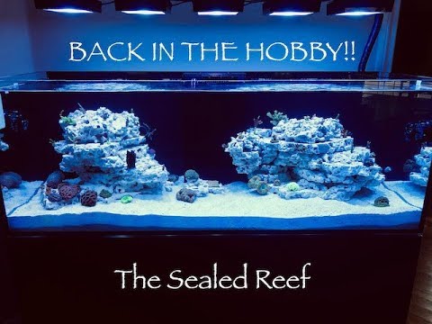 Back in the REEFING Hobby! Red Sea REEFER 450 Equipment Overview!