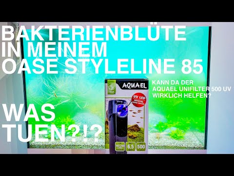 Bakterienblüte in meinem Oase StyleLine 85, kann da der Aquael Uni Filter 500 UV wirklich helfen?