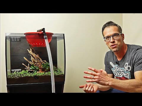Beginner's Guide to Aquascaping on a Budget – Non CO2 Low Tech Fluval Flex