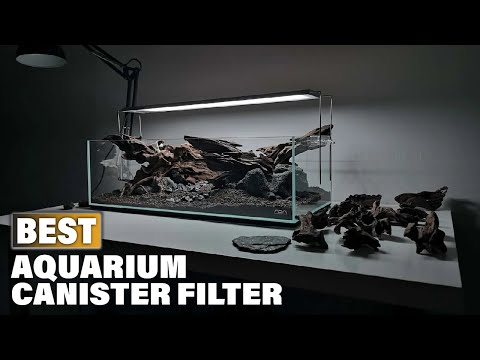 Best Aquarium Canister Filters in 2022 (Top 10 Picks)