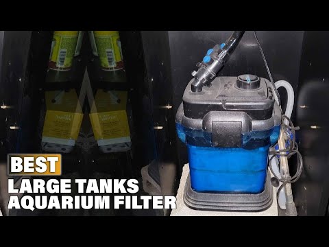Best Aquarium Filter for Large Tanks in 2022 (Top 10 Picks)